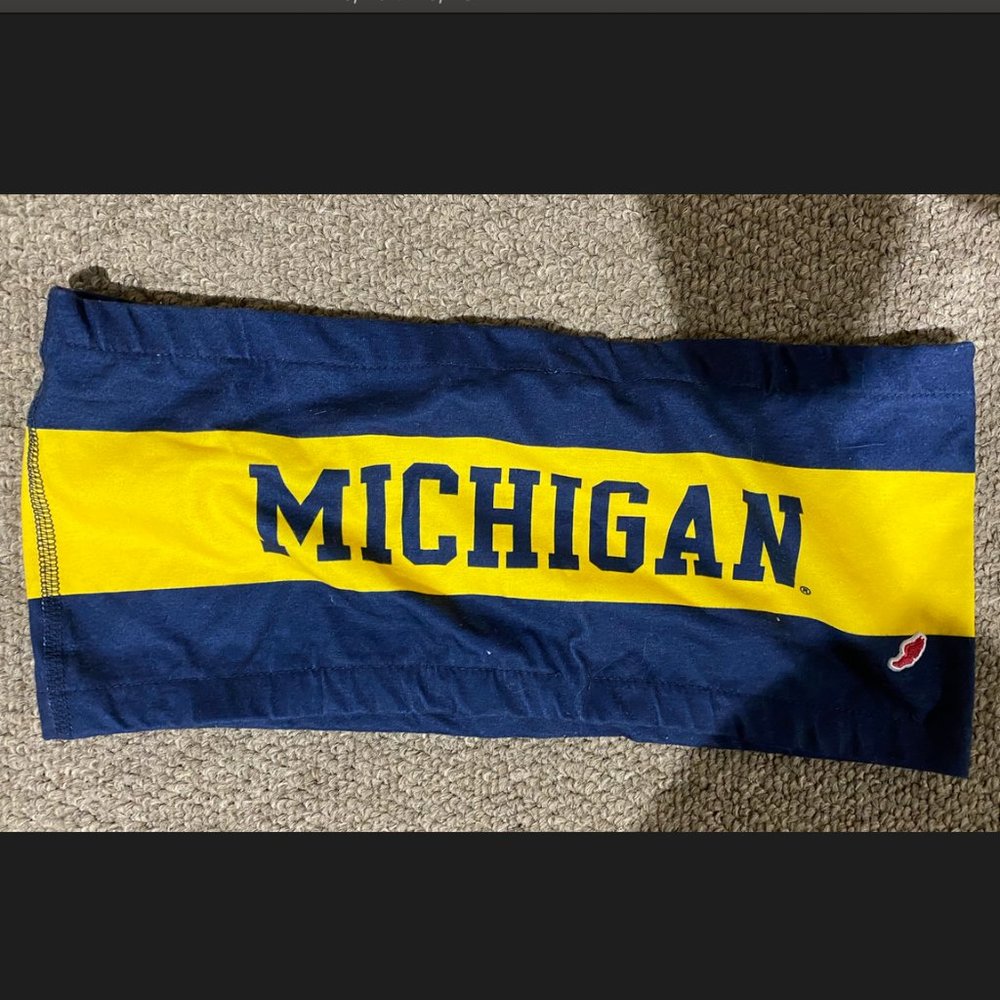 University of Michigan Bandeau